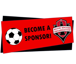 Become a Sponsor